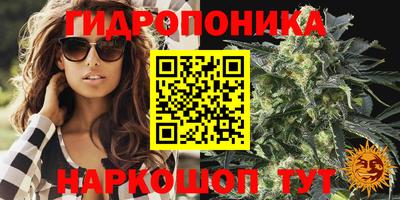 мдпв Будённовск