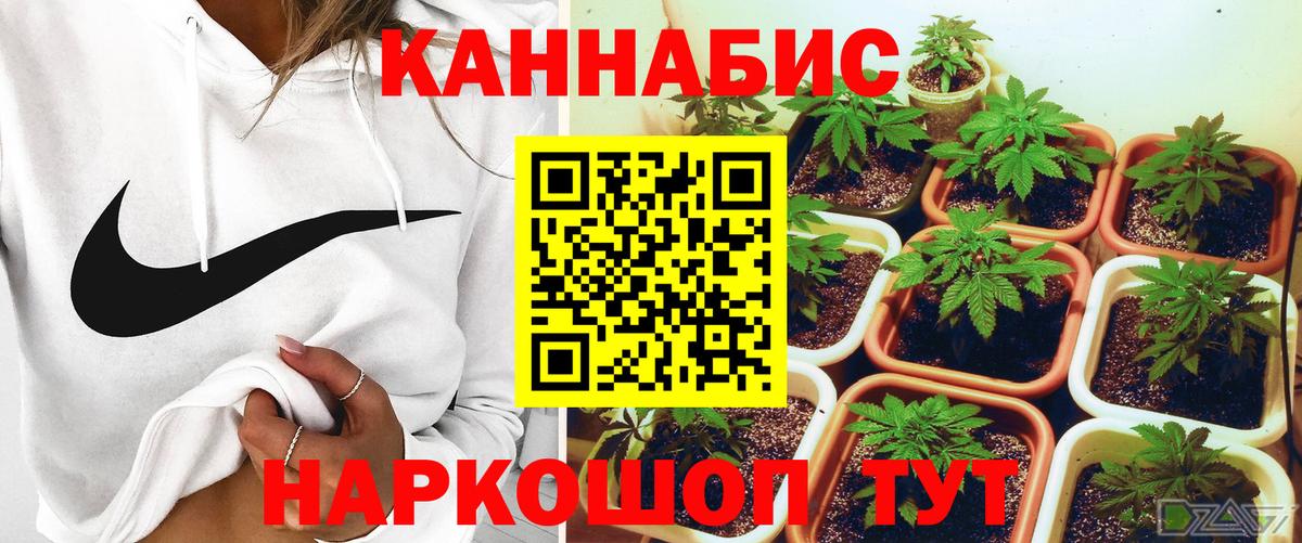 Химки  Марихуана гибрид  Вход с VPN  Бошки Шишки конопля 